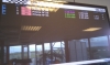 IMAG0146.jpg