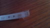 IMAG0206aa.jpg