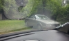 20140705_150626_28800x48129.jpg