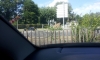 20140706_163848_28800x48129.jpg