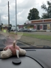 20140802_105101.jpg