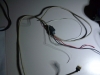P1010696.JPG