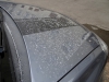 DSC003192BAF.jpg