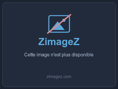 Photo h&eacute;rberg&eacute;e par zimagez.com